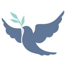 flying dove