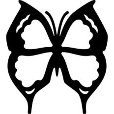 butterfly