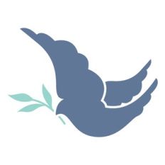 flying dove