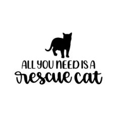 all you need is a rescue cat