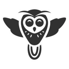 owl bird