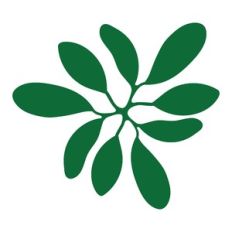 tropical leaf