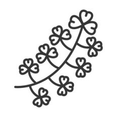 floral branch