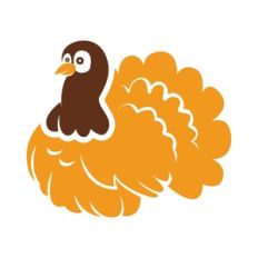 thanksgiving turkey