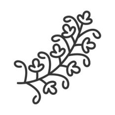floral branch
