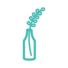 plant stem in vase