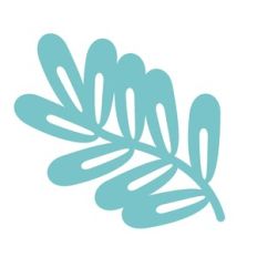 plant stem