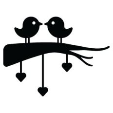 lovely birds