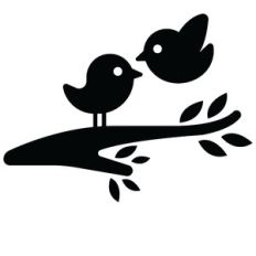 lovely birds