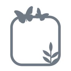 butterfly frame