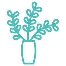 potted succulent