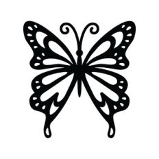 decorative butterfly design