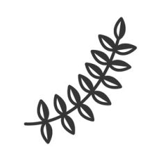 floral branch