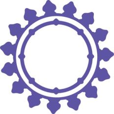 frame lace design