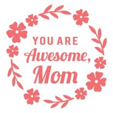 you are awesome mom
