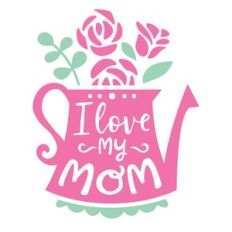 i love my mom
