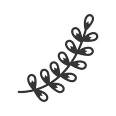 floral branch