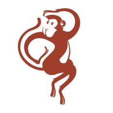 monkey