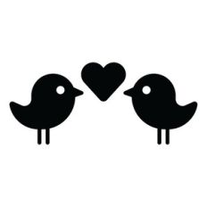 lovely birds