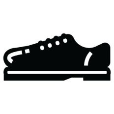 shoe