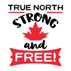 true north