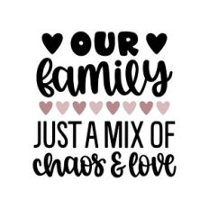 our family just a mix of chaos and love