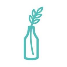 plant stem in vase