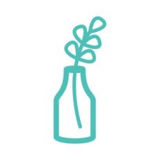 plant stem in vase