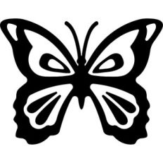 butterfly