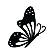 decorative butterfly design