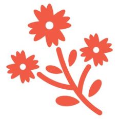 autumn flower