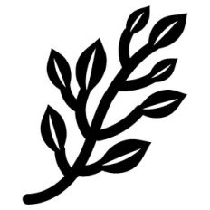 plants on branch