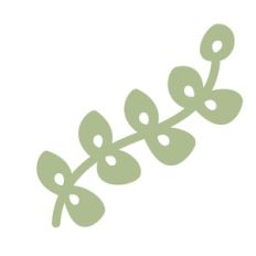plant stem