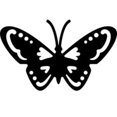 butterfly