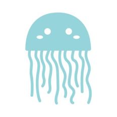 jellyfish