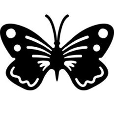 butterfly