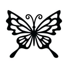 decorative butterfly design
