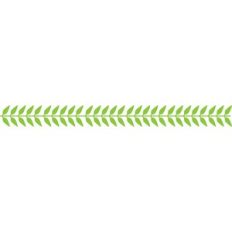 leaf borders