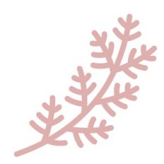 plant stem