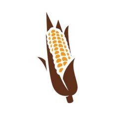 thanksgiving corn