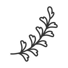 floral branch