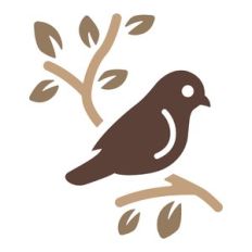 bird with branch