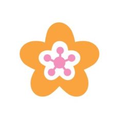 colored flower