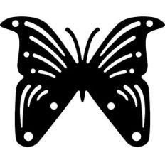 butterfly