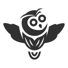 owl bird