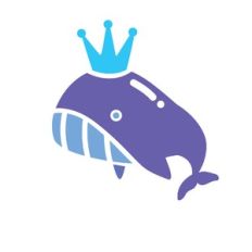 cute whale