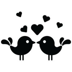 lovely birds