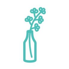 plant stem in vase