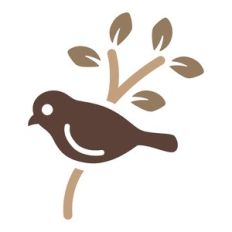bird with branch
