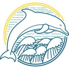 dolphin and waves